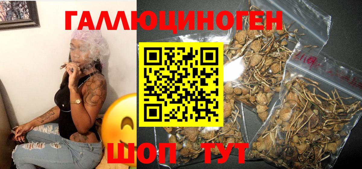Псилоцибиновые грибы Magic Shrooms  Галлюциногенные грибы Psilocybe  Вход с VPN  Новосибирск 